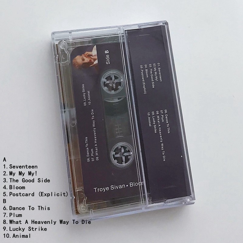 Cassetta Audio Musicale Ingles - Audio Music Lyrics recensione e prezzo